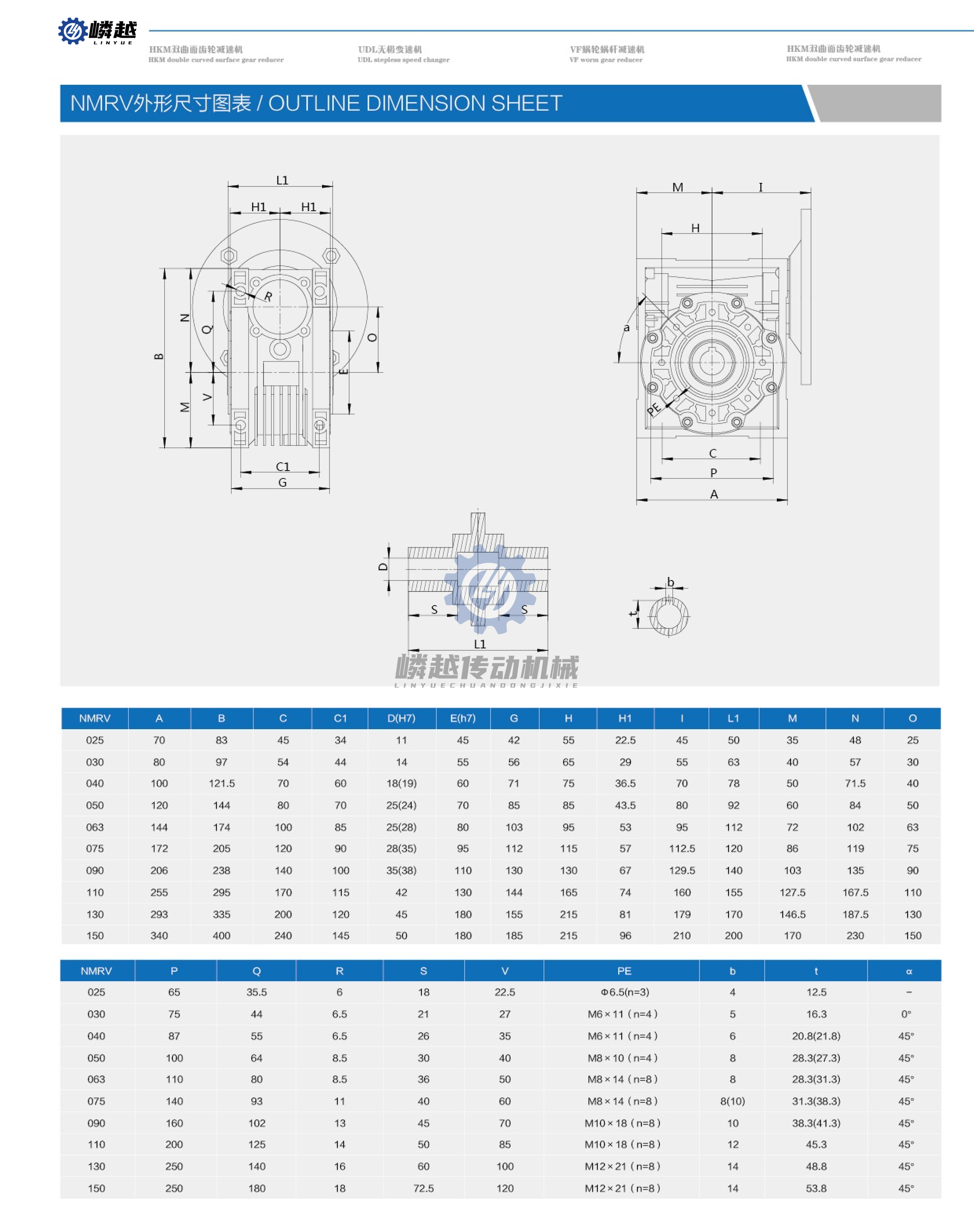 10上海嶙越NMRV新样本 (9).png