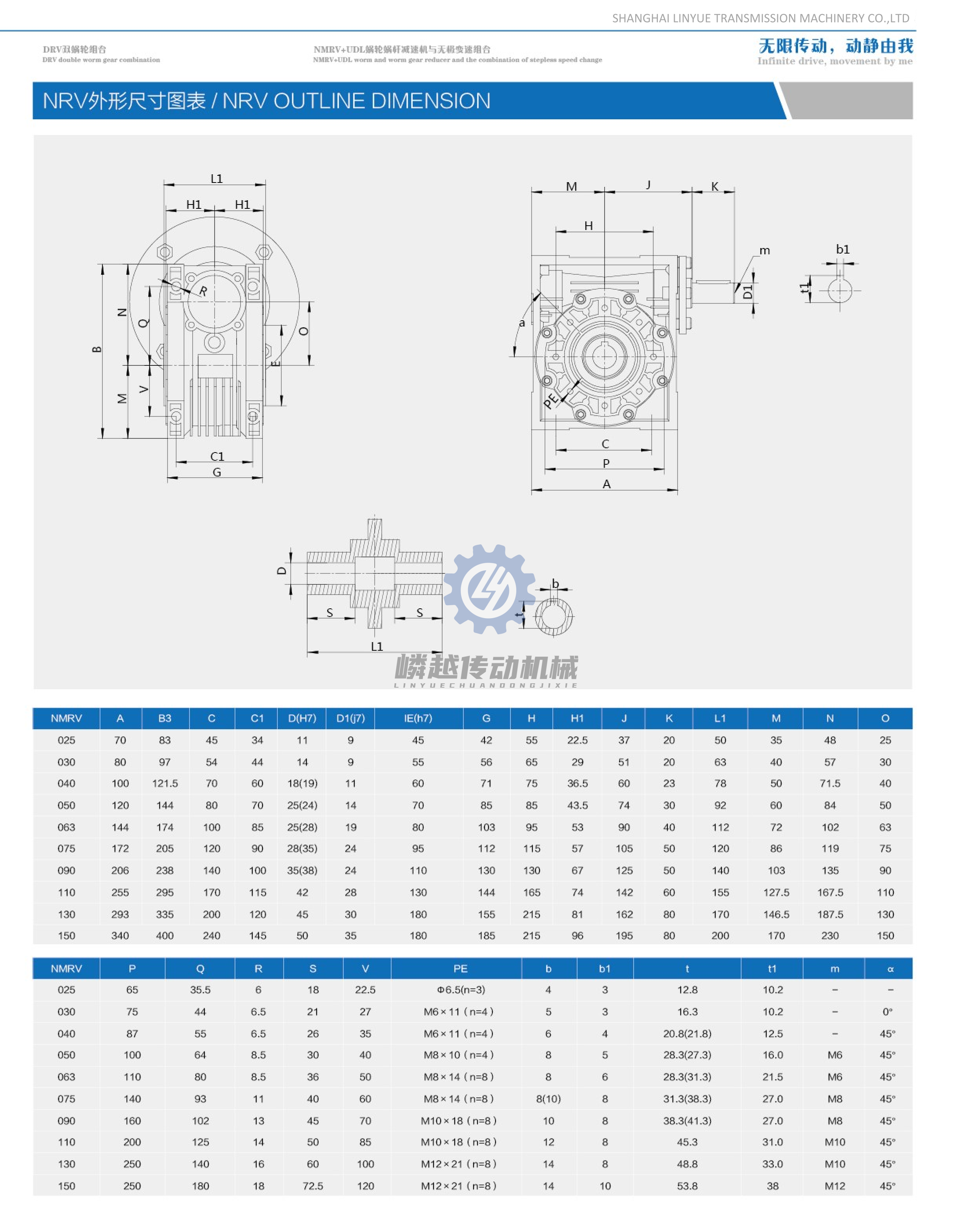 10上海嶙越NMRV新样本 (10).png