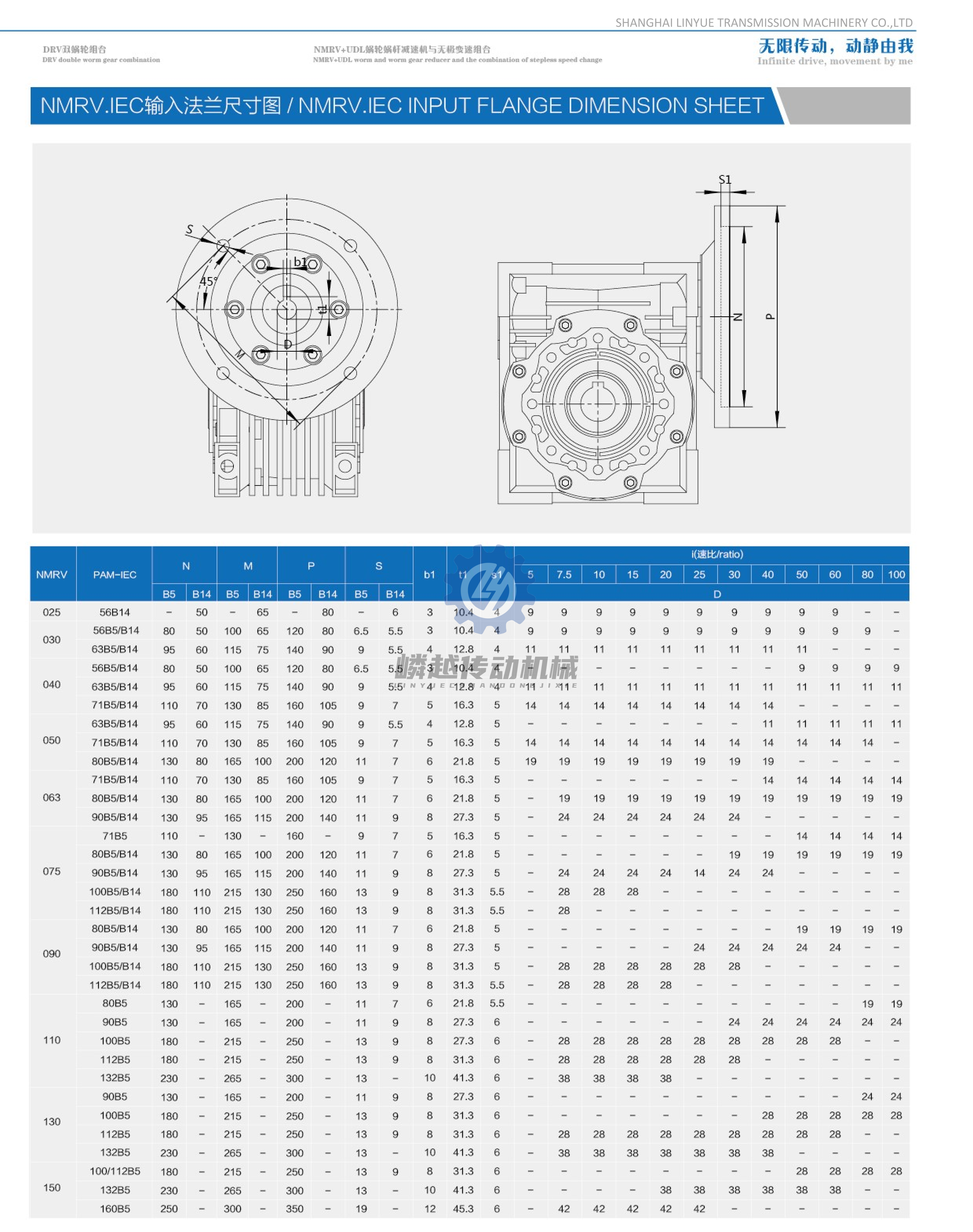 10上海嶙越NMRV新样本 (12).png